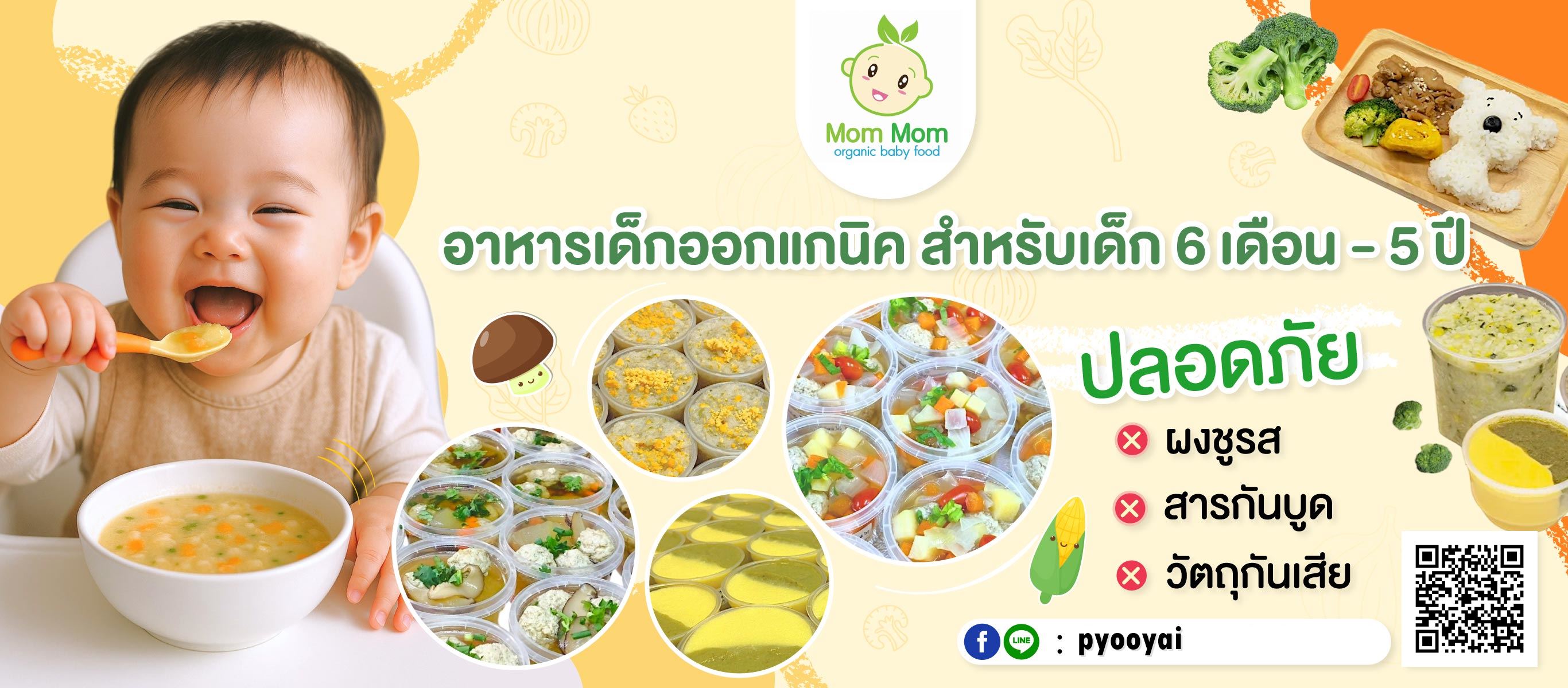 อาหารเด็ก Mom Mom Organic Baby Food